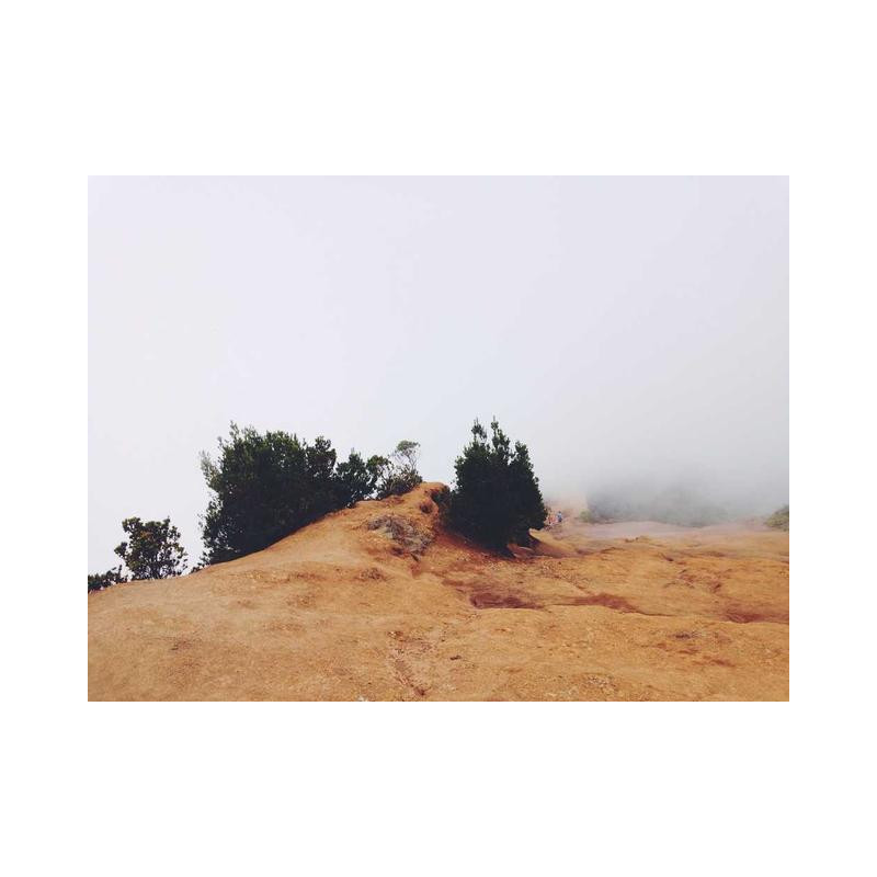 Enormous Leather Gloves fr-FR